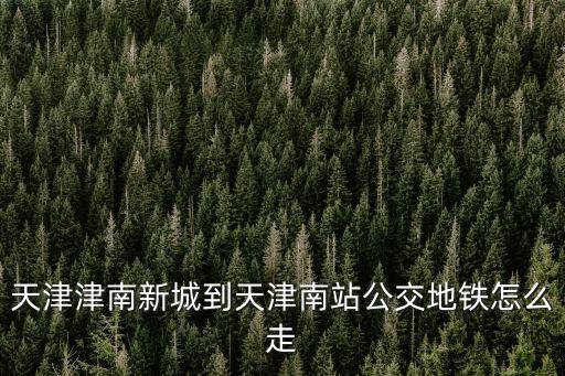 天津津南新城到天津南站公交地鐵怎么走
