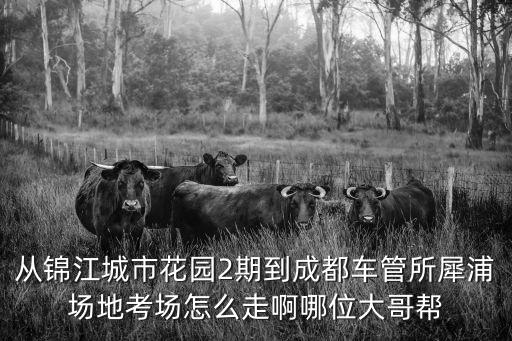 錦江城市花園二期，成都錦江城市花園和卓錦城哪個樓盤好啊