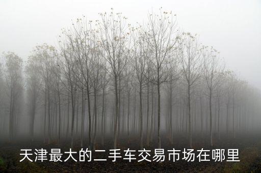 天津最大的二手車交易市場(chǎng)在哪里