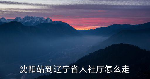 遼寧省人社廳，沈陽站到遼寧省人社廳怎么走