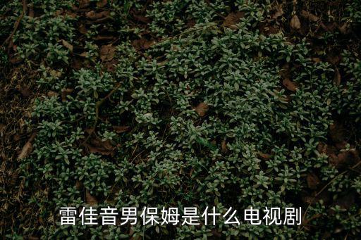 雷佳音男保姆是什么電視劇