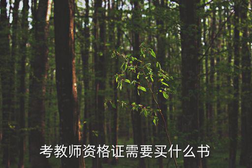 考教師資格證需要買什么書