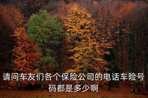 汽車保險(xiǎn)公司電話，中國的汽車保險(xiǎn)都有哪些報(bào)案電話都是多少