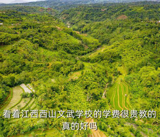 看著江西西山文武學(xué)校的學(xué)費很貴教的真的好嗎