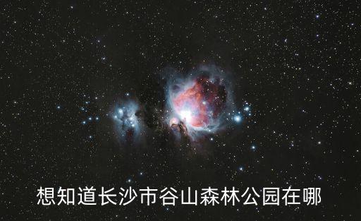 想知道長沙市谷山森林公園在哪