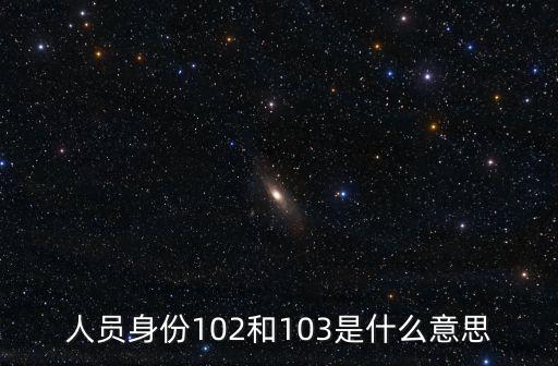 人員身份102和103是什么意思