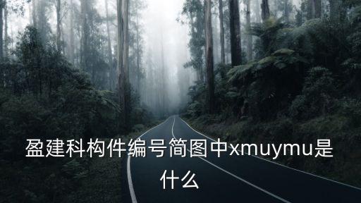 盈建科構(gòu)件編號(hào)簡圖中xmuymu是什么