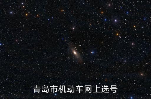 青島市機動車網上選號