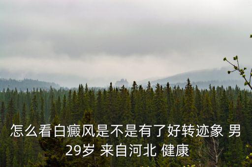 河北健康，怎么看白癜風是不是有了好轉跡象 男 29歲 來自河北 健康