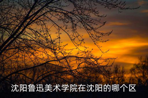 沈陽魯迅美術學院在沈陽的哪個區(qū)