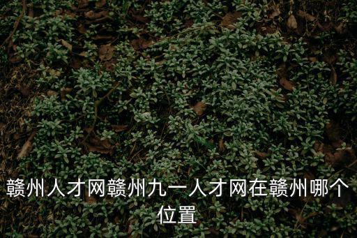 信豐人才網，贛州人才網贛州九一人才網在贛州哪個位置