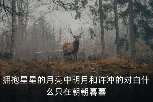 許沖，擁抱星星的月亮中明月和許沖的對白什么只在朝朝暮暮
