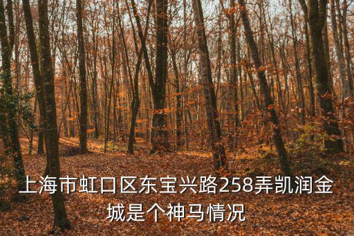 潤金城，上海市虹口區東寶興路258弄凱潤金城是個神馬情況