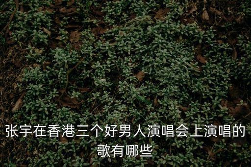 張宇在香港三個好男人演唱會上演唱的歌有哪些