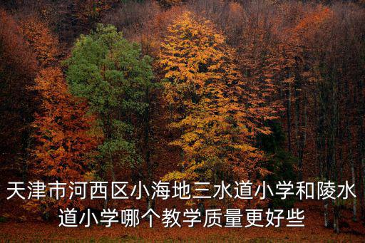 天津市河西區小海地三水道小學和陵水道小學哪個教學質量更好些