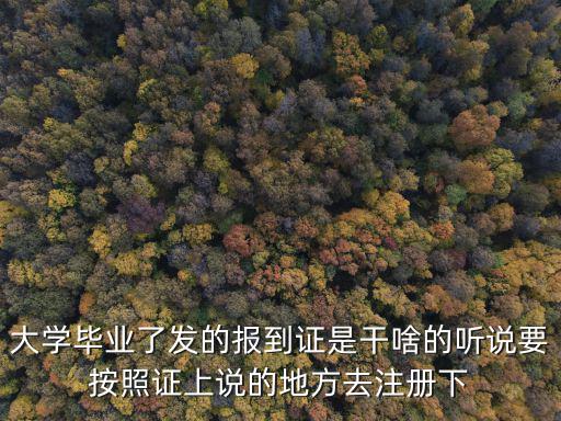 大學(xué)畢業(yè)了發(fā)的報(bào)到證是干啥的聽說要按照證上說的地方去注冊下