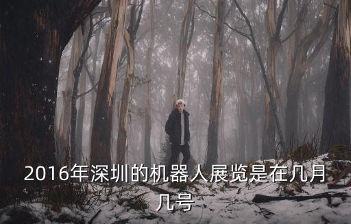 2016年深圳的機器人展覽是在幾月幾號