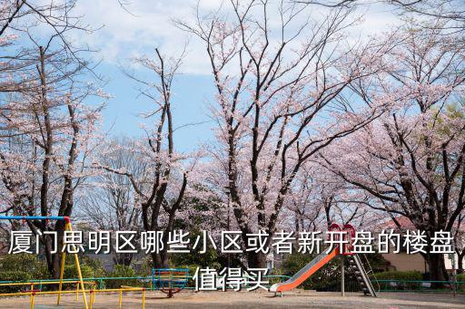 廈門思明區哪些小區或者新開盤的樓盤值得買
