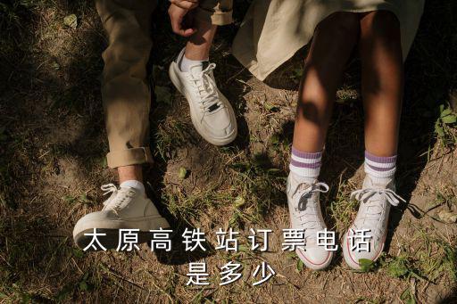 太 原 高 鐵 站 訂 票 電 話 是 多 少