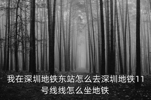 深圳11號線地鐵線路圖，深圳寶安區地鐵11號線碧海站在哪個位置圖