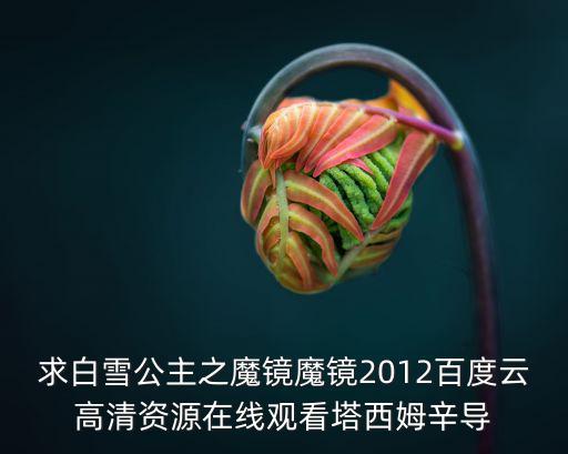 求白雪公主之魔鏡魔鏡2012百度云高清資源在線觀看塔西姆辛導
