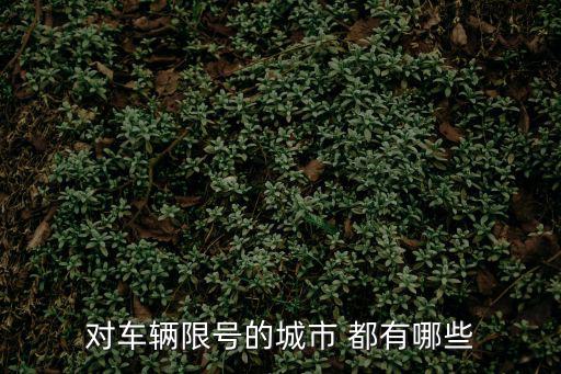 汽車限號，對車輛限號的城市 都有哪些