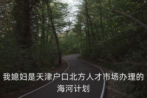 我媳婦是天津戶口北方人才市場辦理的海河計劃