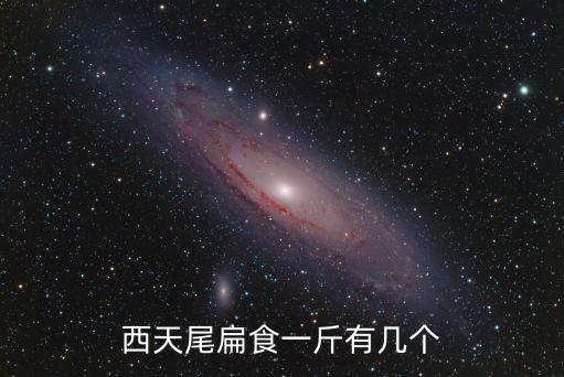 西天尾扁食一斤有幾個
