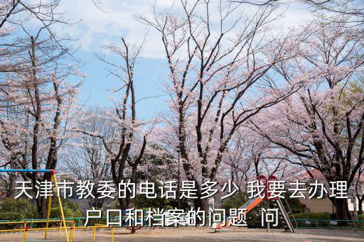 天津市教委的電話是多少 我要去辦理戶口和檔案的問題  問