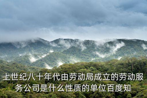 上世紀八十年代由勞動局成立的勞動服務公司是什么性質的單位百度知