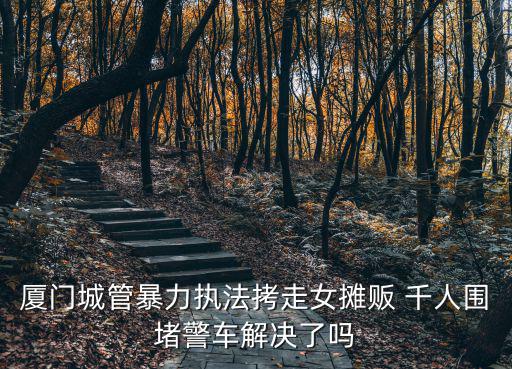 廈門城管，關(guān)于廈門城管