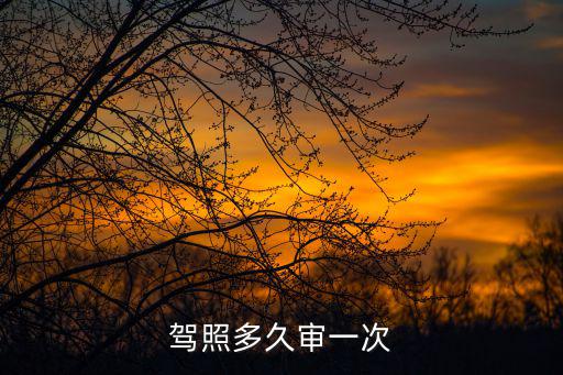 駕照多久審一次