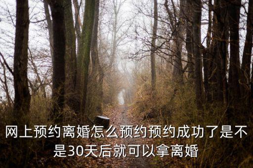 網(wǎng)上預(yù)約離婚怎么預(yù)約預(yù)約成功了是不是30天后就可以拿離婚