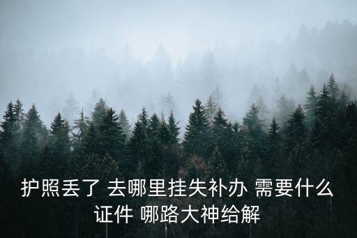 護照丟了 去哪里掛失補辦 需要什么證件 哪路大神給解