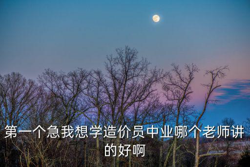 第一個急我想學造價員中業(yè)哪個老師講的好啊