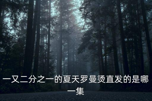 一又二分之一的夏天羅曼燙直發的是哪一集