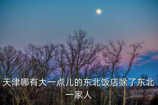 天津哪有大一點兒的東北飯店除了東北一家人