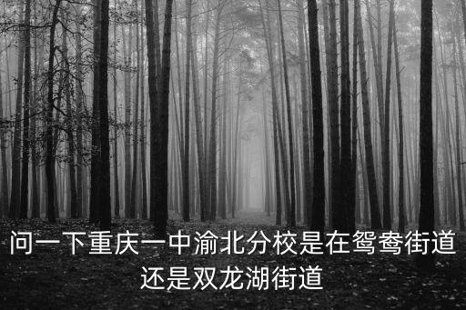 問一下重慶一中渝北分校是在鴛鴦街道還是雙龍湖街道