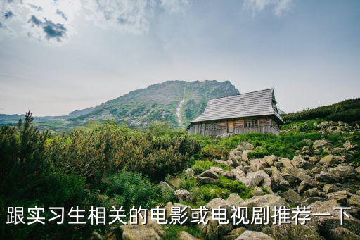 跟實習生相關的電影或電視劇推薦一下