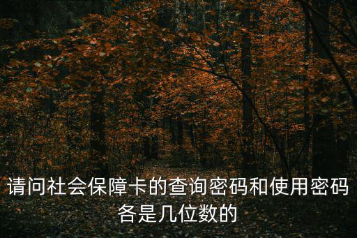社保卡密碼是什么，深圳社保卡的密碼是什么