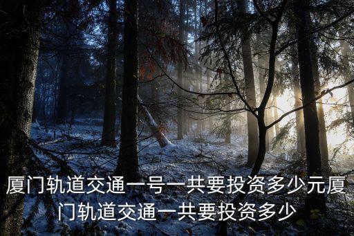 廈門軌道交通一號一共要投資多少元廈門軌道交通一共要投資多少