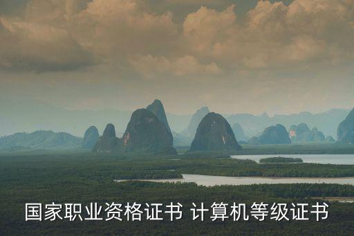 國家職業(yè)資格證書 計(jì)算機(jī)等級證書