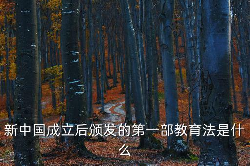 中國教育1，如何解決中國的教育問題