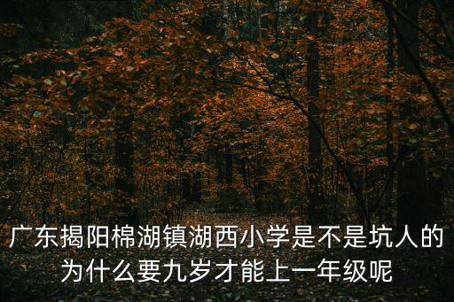 湖西小學，廣東省揭西縣棉湖鎮湖西小學什么時候開學呢