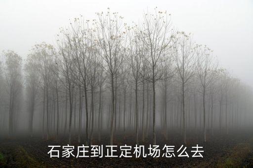 石家莊到正定機場，石家莊到正定機場 去哪里坐機場大巴啊