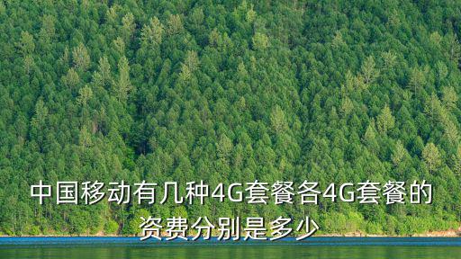 中國移動有幾種4G套餐各4G套餐的資費分別是多少