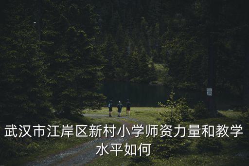 武漢市江岸區新村小學師資力量和教學水平如何