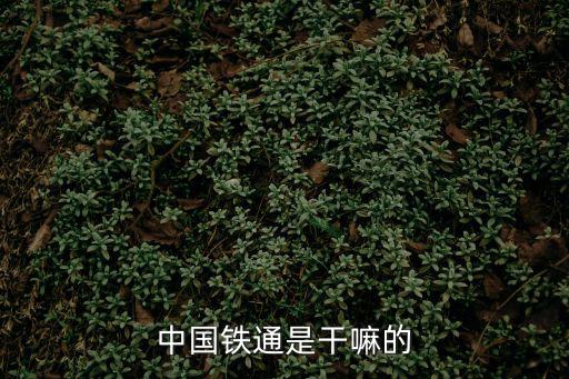 中國鐵通是干嘛的