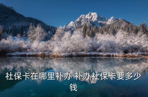補辦社保卡去哪里辦理，社保卡在哪里補辦 補辦社保卡要多少錢