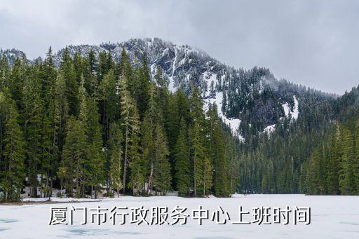 廈門市政務服務中心，廈門市政務服務中心的歷史沿革